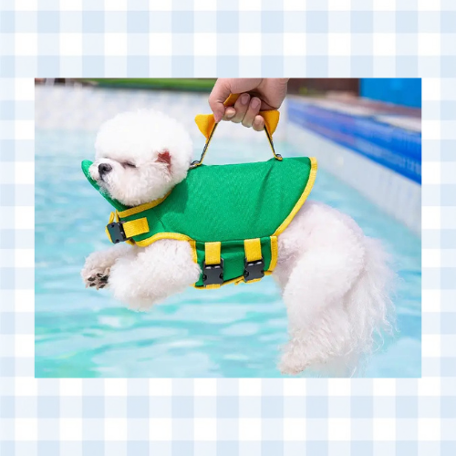 Dinosaur Pet Life Jacket
