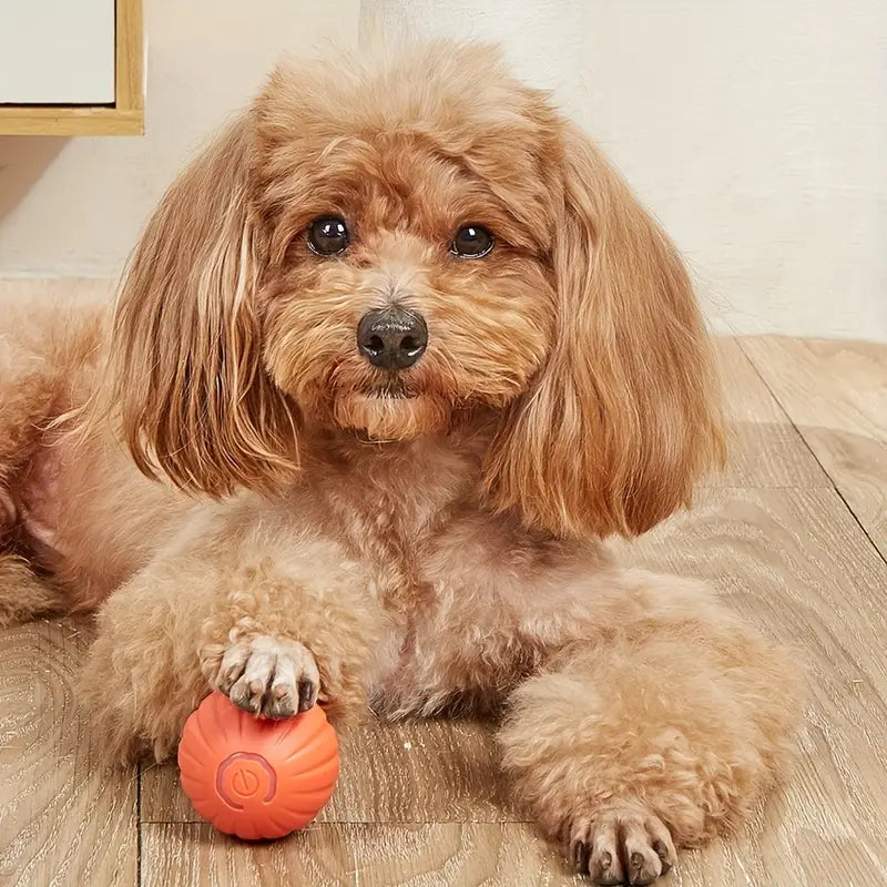 Automatic Rolling Ball Dog Toy