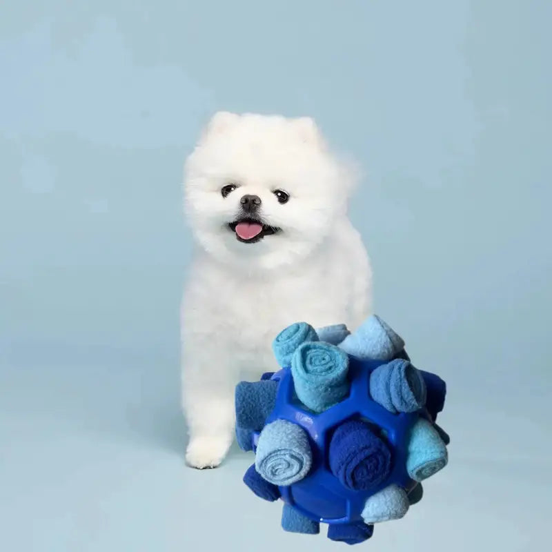 Interactive Puzzle Toy