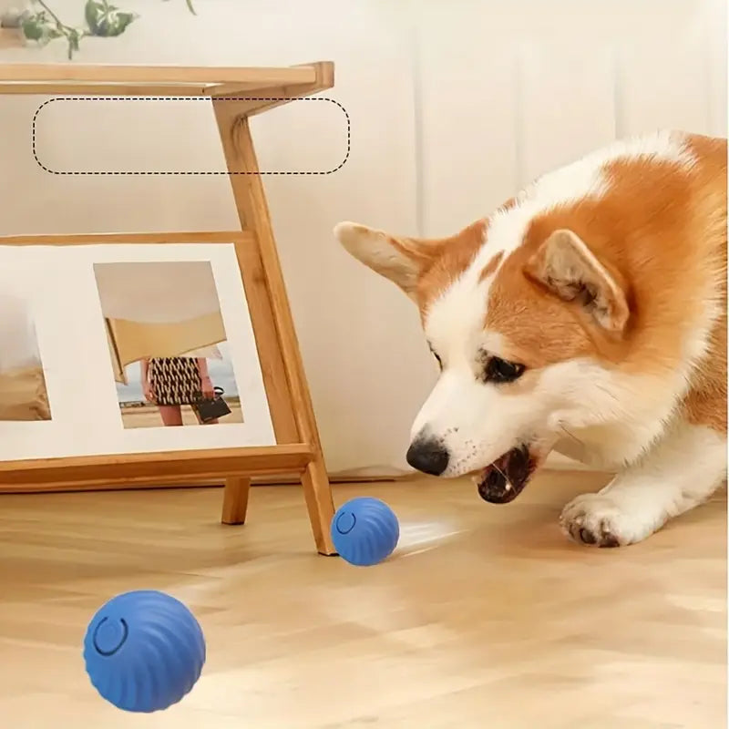 Automatic Rolling Ball Dog Toy