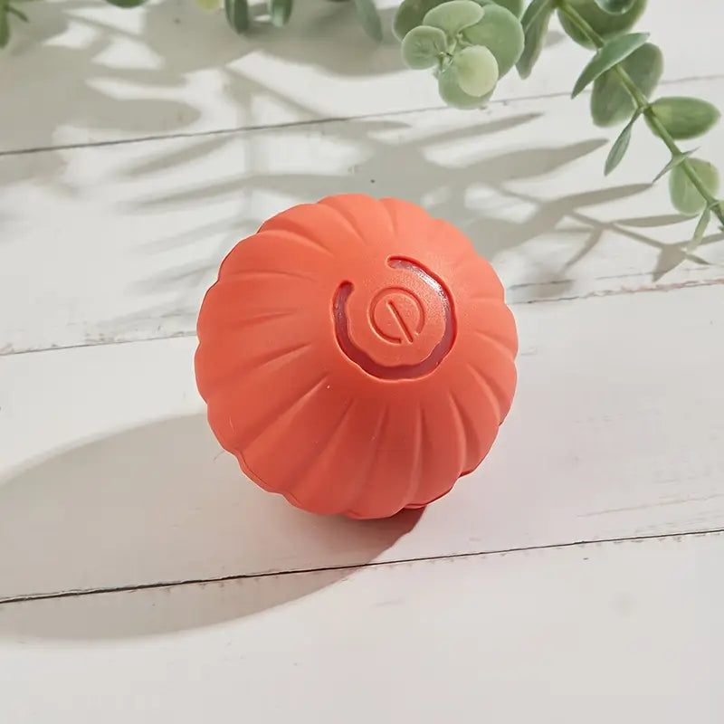 Automatic Rolling Ball Dog Toy