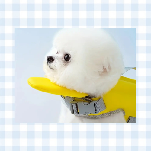 Quick-Dry Dog Life Jacket