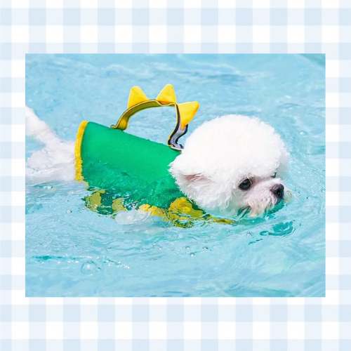 Dinosaur Pet Life Jacket