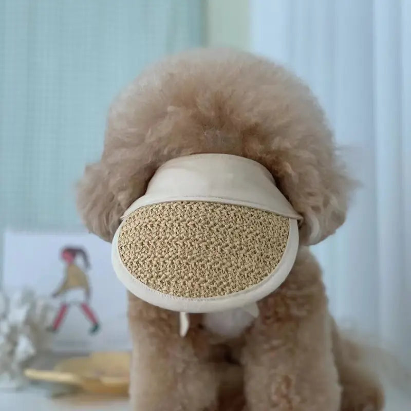 Small Dog Sun Protection Hat