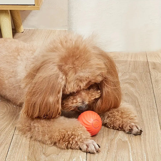 Automatic Rolling Ball Dog Toy