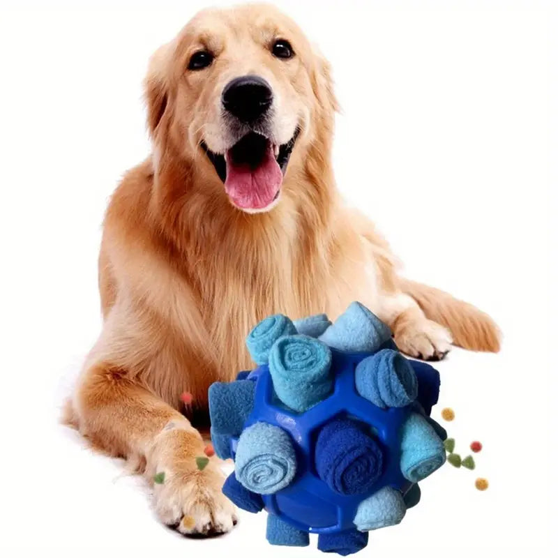 Interactive Puzzle Toy