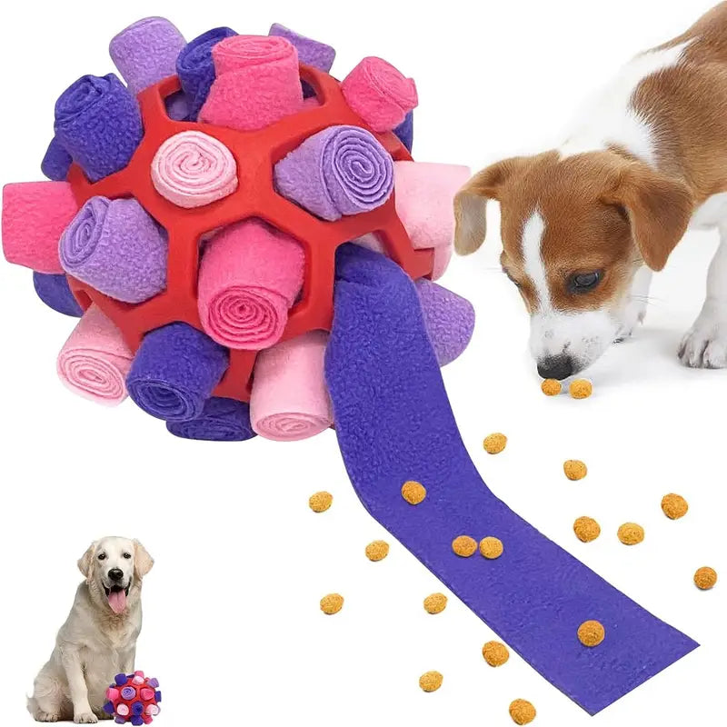 Interactive Puzzle Toy