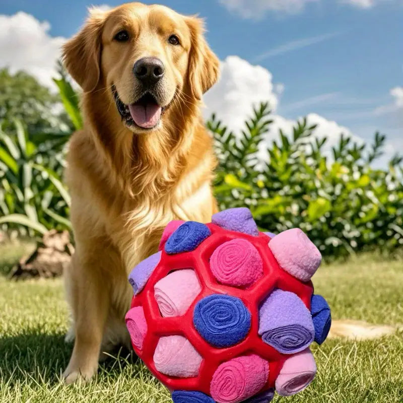 Interactive Puzzle Toy