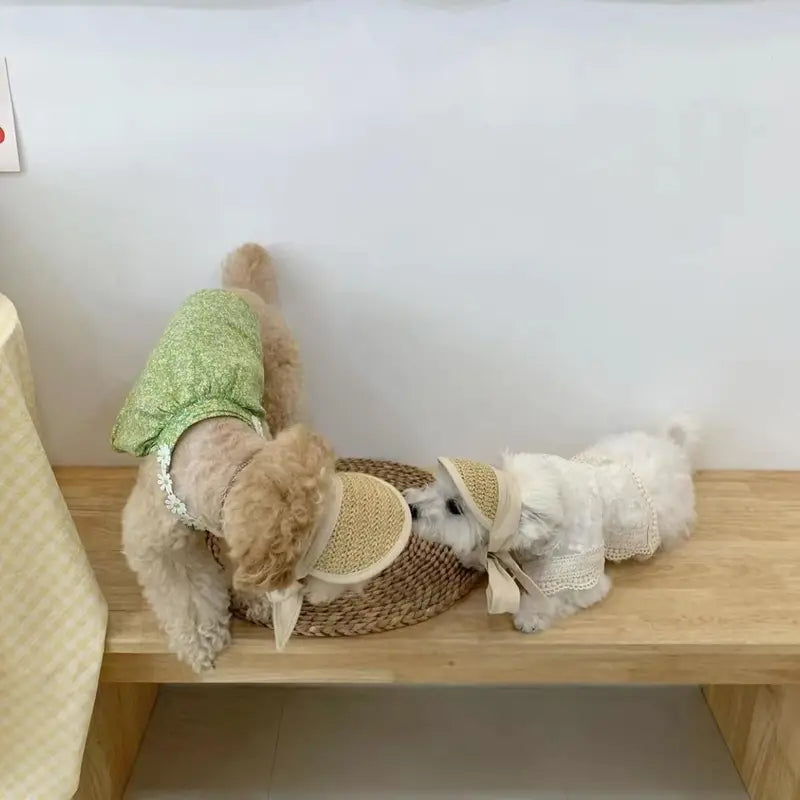 Small Dog Sun Protection Hat