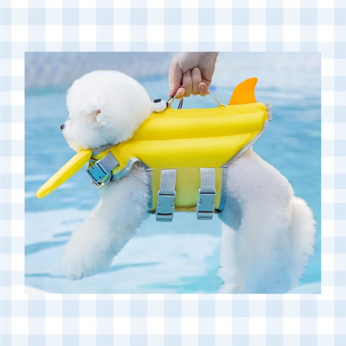 Quick-Dry Dog Life Jacket