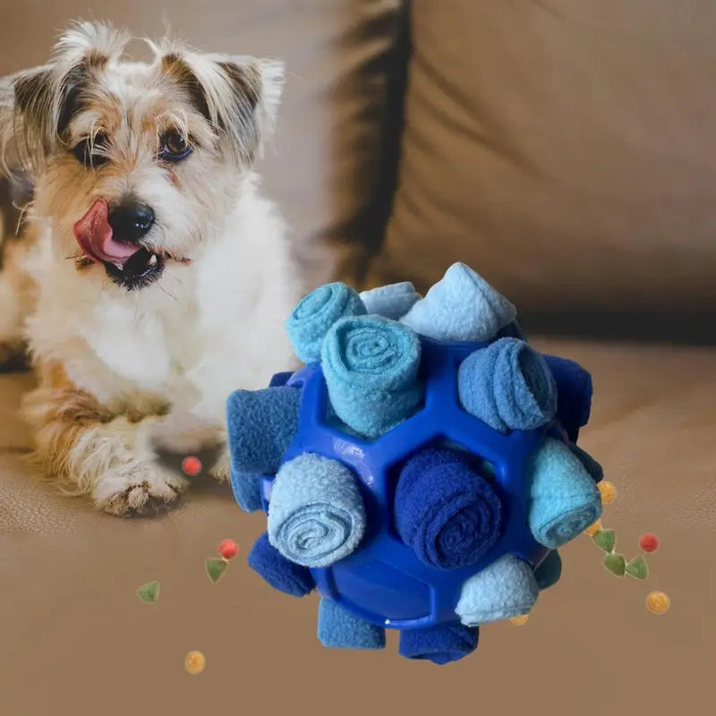 Interactive Puzzle Toy