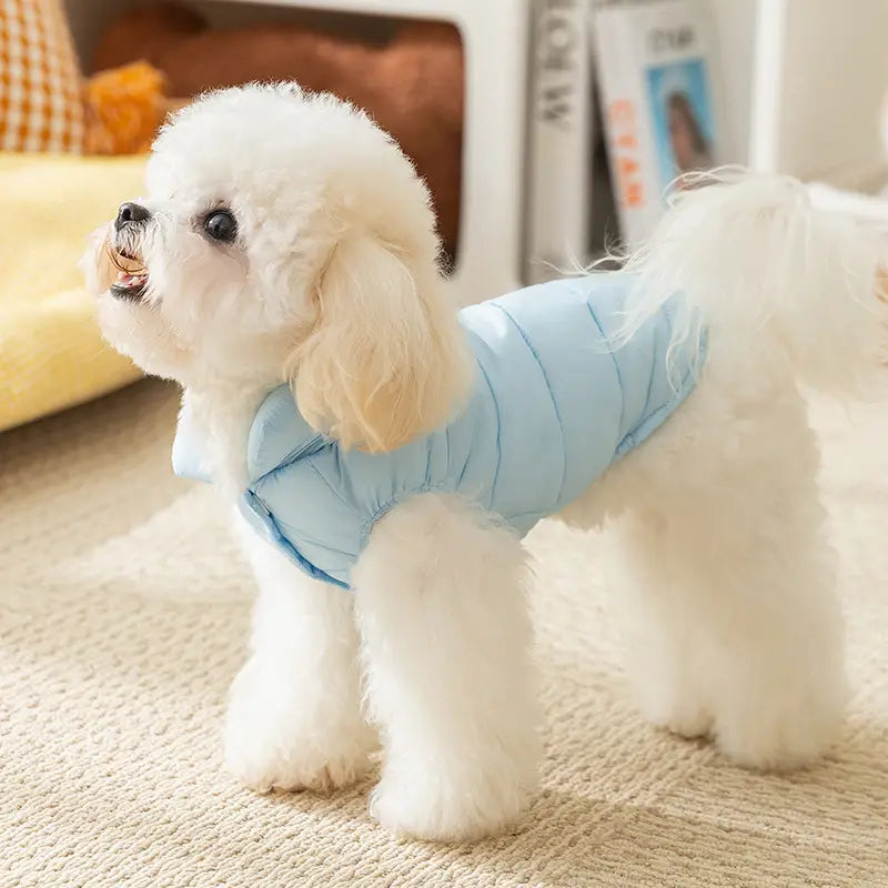 Windproof Dog Vest