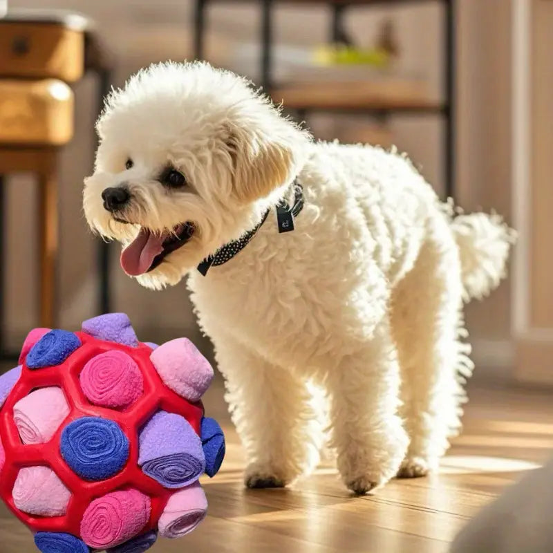 Interactive Puzzle Toy