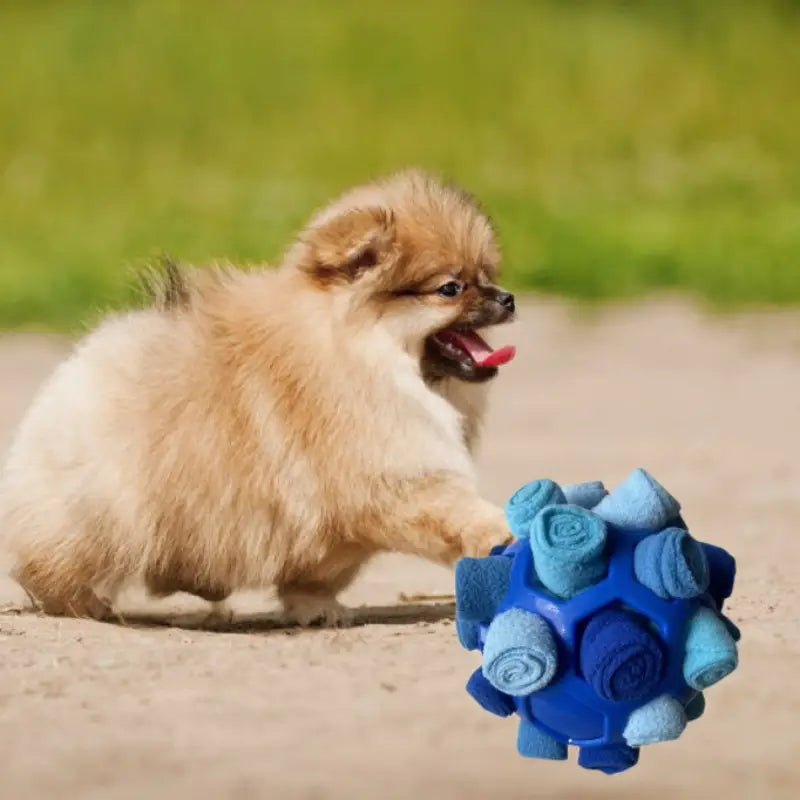 Interactive Puzzle Toy